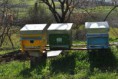 /album/galleria-foto-galleria-fotografica/immagine-131-jpg/